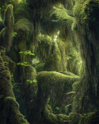 A cover of "Meet me here" cluster. The owner is moonbeam. The cluster consists of 19 elements.