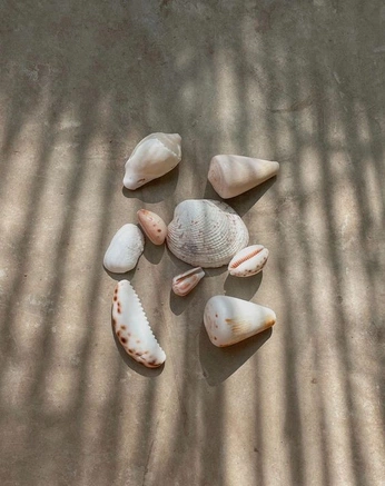 A cover of "ACESSORIOS" cluster. The owner is lanaborges. The cluster consists of 4 elements.