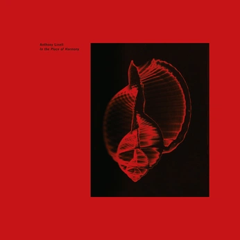 A cover of "Album covers" cluster. The owner is karol.majewski. The cluster consists of 13 elements.