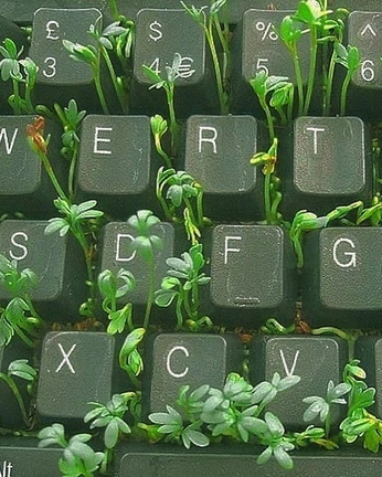 A cover of "Aesthetics" cluster. The owner is whoisnyasha. The cluster consists of 4 elements.