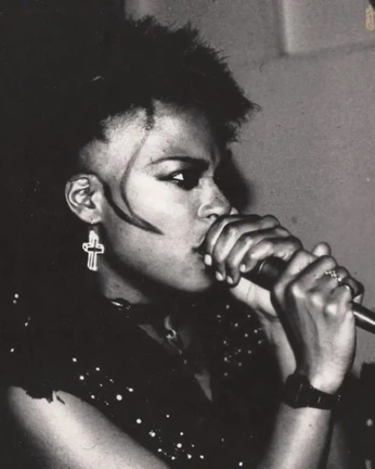 A cover of "punk" cluster. The owner is julesunderwood. The cluster consists of 11 elements.