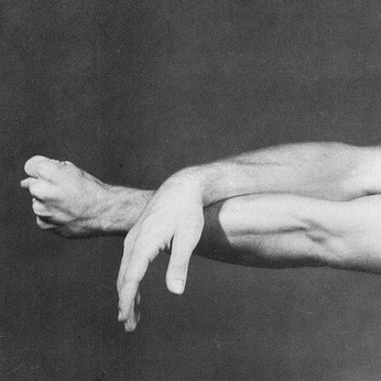 A cover of "references" cluster. The owner is elliffant. The cluster consists of 12 elements.