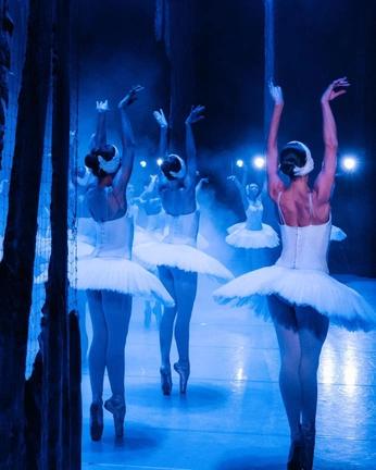 A cover of "Theater website" cluster. The owner is peraspera. The cluster consists of 14 elements.