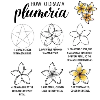 A cover of "Flowers" cluster. The owner is sofiaanemation. The cluster consists of 3 elements.