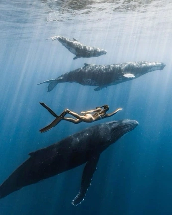 A cover of "biology" cluster. The owner is estreladasolidao. The cluster consists of 154 elements.