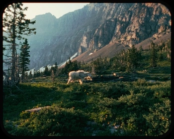 A cover of "nice colors" cluster. The owner is mikehil. The cluster consists of 2 elements.