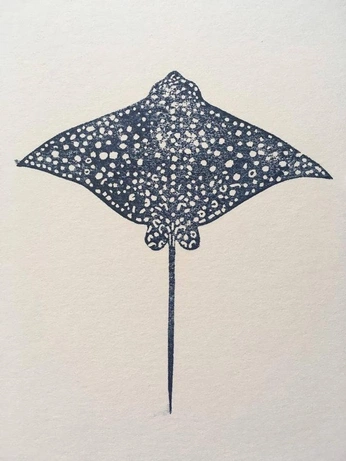 A cover of "Fish" cluster. The owner is aleynaydin. The cluster consists of 2 elements.