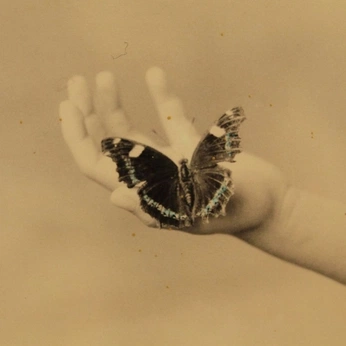 A cover of "conzi" cluster. The owner is atlas04. The cluster consists of 33 elements.