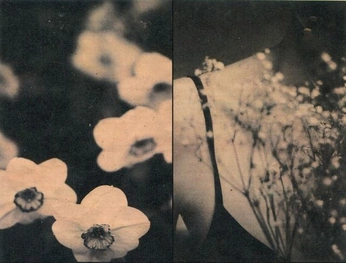 A cover of "zine img" cluster. The owner is forgetful00. The cluster consists of 4 elements.