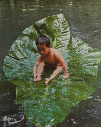 A cover of "human" cluster. The owner is ekaterinaurora. The cluster consists of 24 elements.