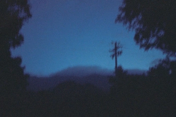 A cover of "Night" cluster. The owner is aaliyahrose. The cluster consists of 3 elements.