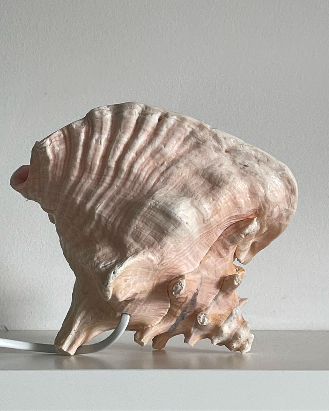 An Instagram carousel post added by maaaaaasshhaa on May 10, 2024. The author is @miara.vintage.