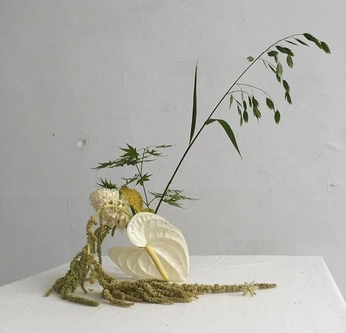 A cover of "floral" cluster. The owner is mascandorfemme. The cluster consists of 4 elements.