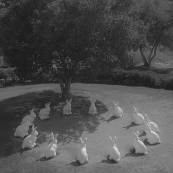 A cover of "otherworld." cluster. The owner is michaelakelso. The cluster consists of 36 elements.