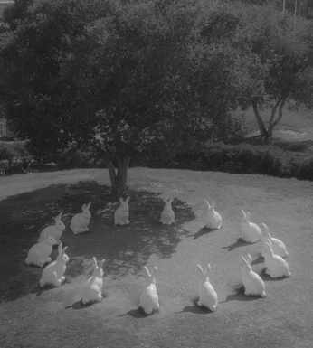 A cover of "alice in wonderland" cluster. The owner is taysaesthetics. The cluster consists of 20 elements.