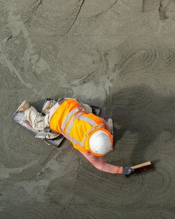 A cover of "procore" cluster. The owner is almoy. The cluster consists of 11 elements.