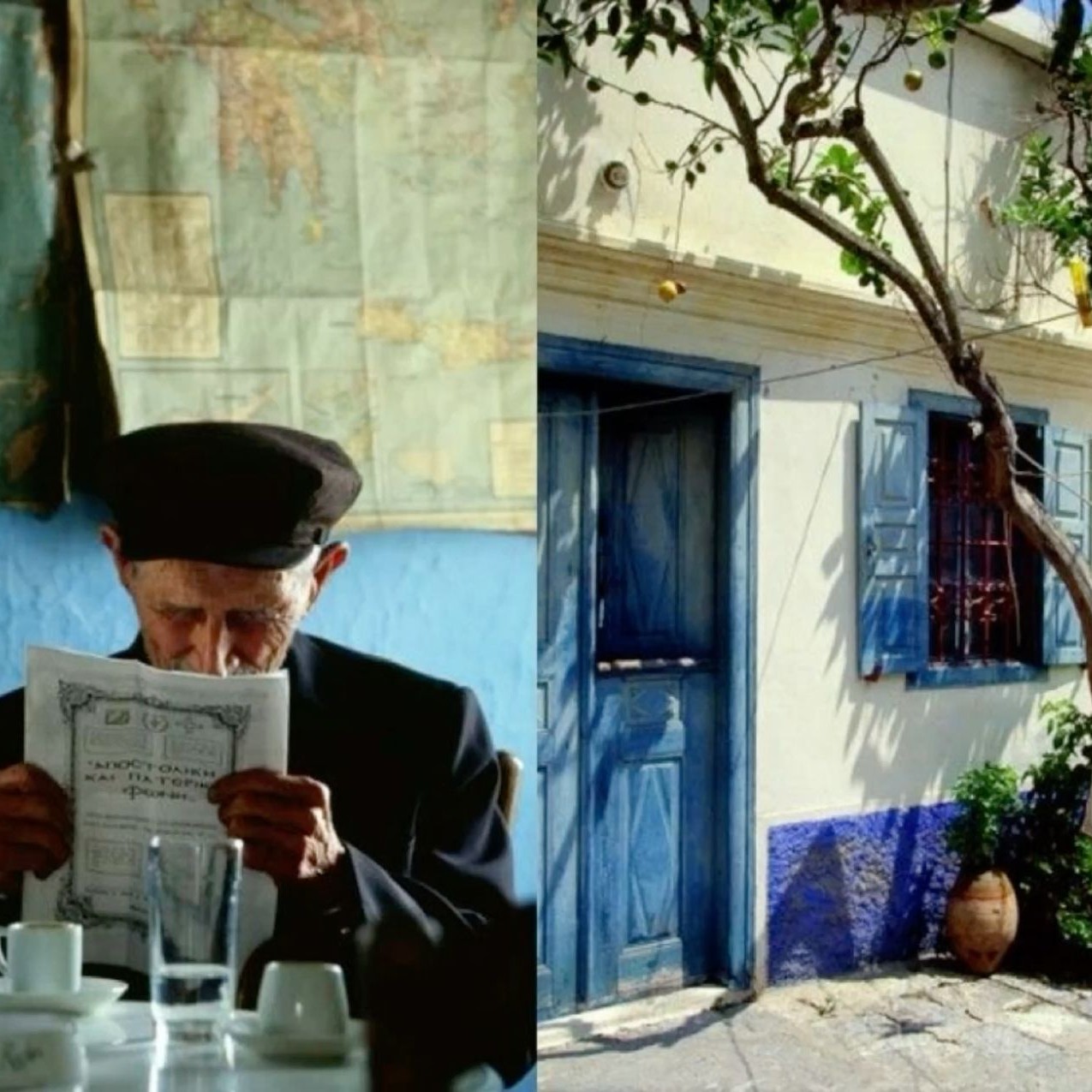 The Blue Zones