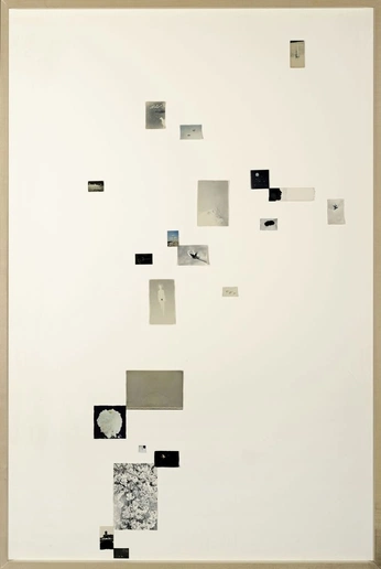 A cover of "collage" cluster. The owner is mayhouri. The cluster consists of 2 elements.