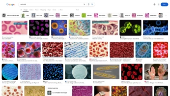 A cover of "cells" cluster. The owner is juanitapardog. The cluster consists of 4 elements.