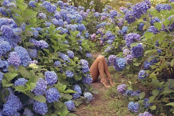 A cover of "Connecticut House" cluster. The owner is fallline. The cluster consists of 1 element.