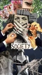 Cover of Secret Soci... cluster