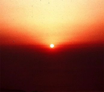 A cover of "gifs" cluster. The owner is mdalnegro. The cluster consists of 4 elements.