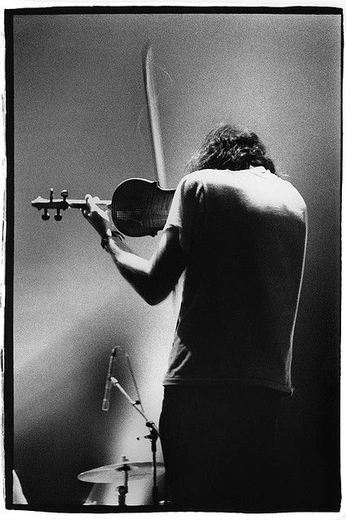 A cover of "Splinter" cluster. The owner is efarnellwatson. The cluster consists of 6 elements.