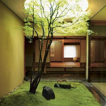 A cover of "inside out" cluster. The owner is c4m1773. The cluster consists of 12 elements.