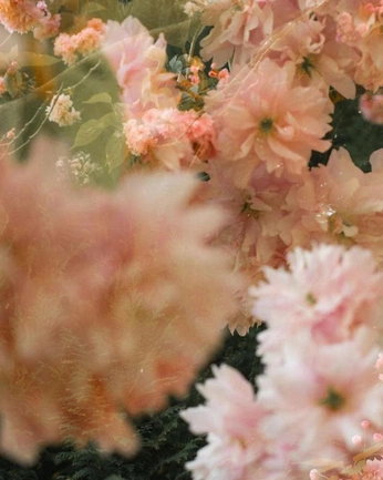 A cover of "Matilda" cluster. The owner is identidadstudio. The cluster consists of 141 elements.