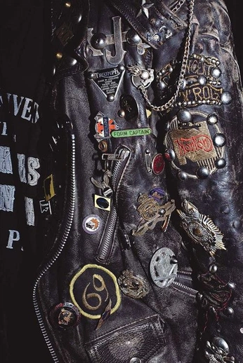 A cover of "punk" cluster. The owner is dragondagger. The cluster consists of 17 elements.