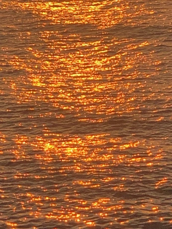 A cover of "my stuff" cluster. The owner is lily.grace. The cluster consists of 651 elements.