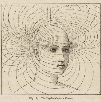 A cover of "self" cluster. The owner is nicolehsing. The cluster consists of 17 elements.