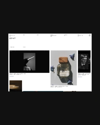 A cover of "Websites" cluster. The owner is kernest. The cluster consists of 2 elements.