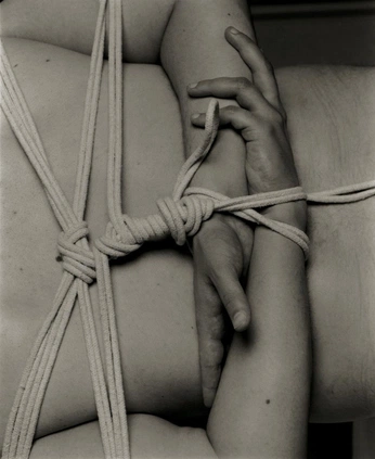 A cover of "tie me up" cluster. The owner is sexyflowers. The cluster description is "bondage and shibari aesthetic". The cluster consists of 45 elements.