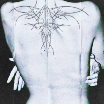 A cover of "Body" cluster. The owner is forrests. The cluster consists of 2 elements.