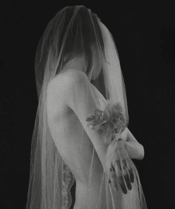 A cover of "Moonflower" cluster. The owner is shreyaaaaa. The cluster consists of 14 elements.