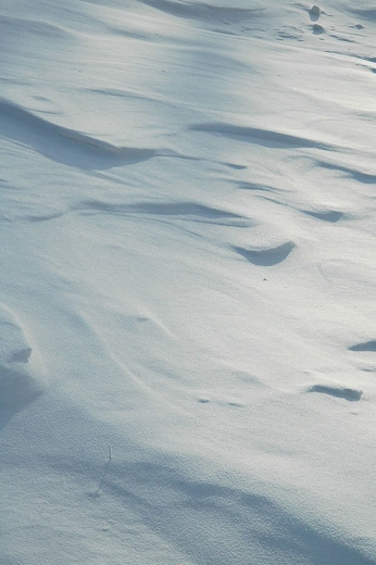 A cover of "Фон" cluster. The owner is anfisa.ku. The cluster consists of 31 elements.