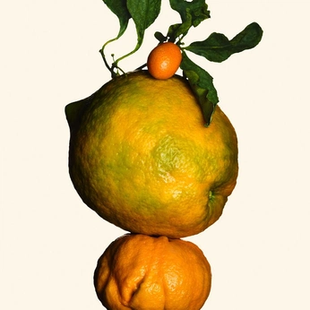 A cover of "trippy" cluster. The owner is raqu3lle. The cluster consists of 7 elements.