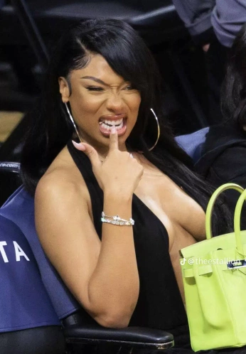 A cover of "Meghan Thee Stallion" cluster. The owner is glitterxqueen. The cluster consists of 23 elements.