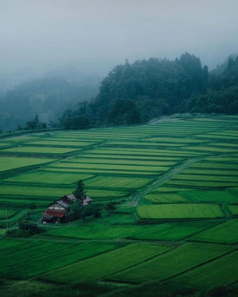 A cover of "🎐" cluster. The owner is c0ffee. The cluster consists of 20 elements.