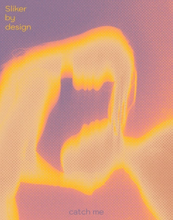 A cover of "catch me" cluster. The owner is sliker. The cluster consists of 1 element.