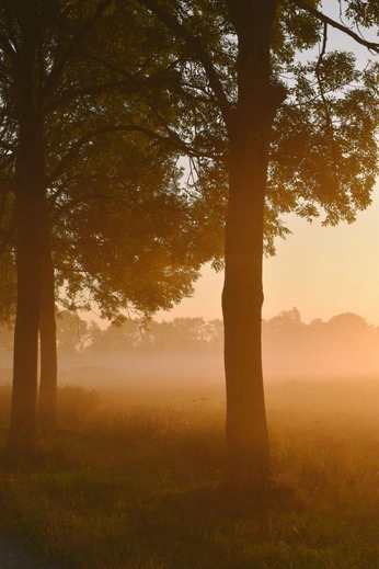 A cover of "lockscreens" cluster. The owner is ateez. The cluster consists of 8 elements.