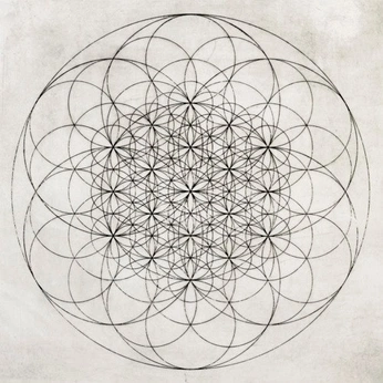 A cover of "consciousness" cluster. The owner is ahmedzidan. The cluster consists of 30 elements.