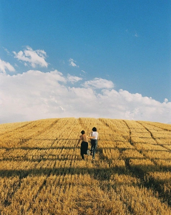 A cover of "Light" cluster. The owner is mositis. The cluster consists of 5 elements.