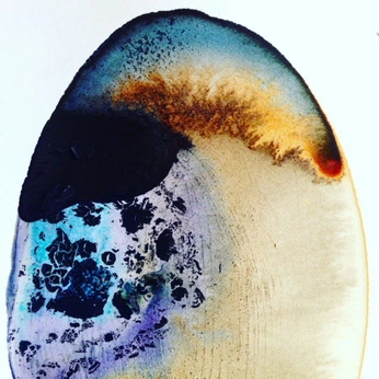 A cover of "Microbi0tą" cluster. The owner is sofiacantuv. The cluster consists of 11 elements.