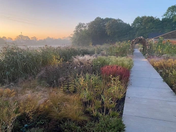 A cover of "promenade" cluster. The owner is ellastique. The cluster consists of 3 elements.