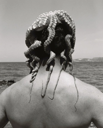 A cover of "DEATH" cluster. The owner is lilz333. The cluster description is "LIFE". The cluster consists of 9 elements.