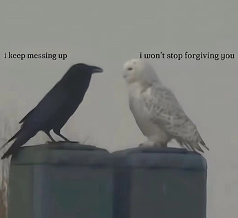 A cover of "wub u" cluster. The owner is hellboundtrain. The cluster consists of 7 elements.