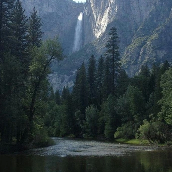 A cover of "Nature" cluster. The owner is adumbdemon. The cluster consists of 28 elements.