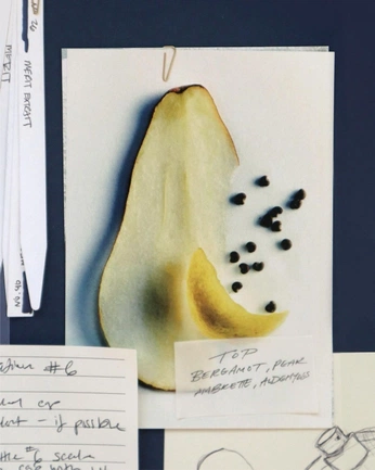 A cover of "y" cluster. The owner is lexycreator. The cluster consists of 6 elements.